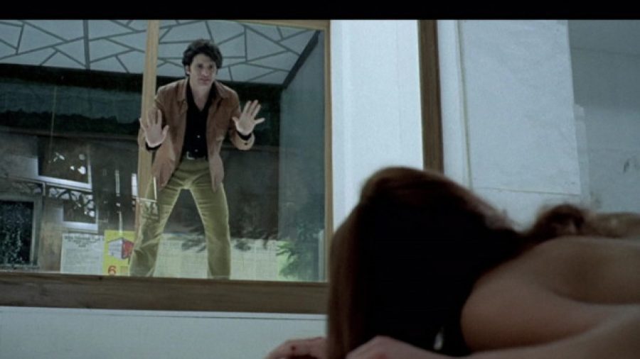 The Bird with the Crystal Plumage