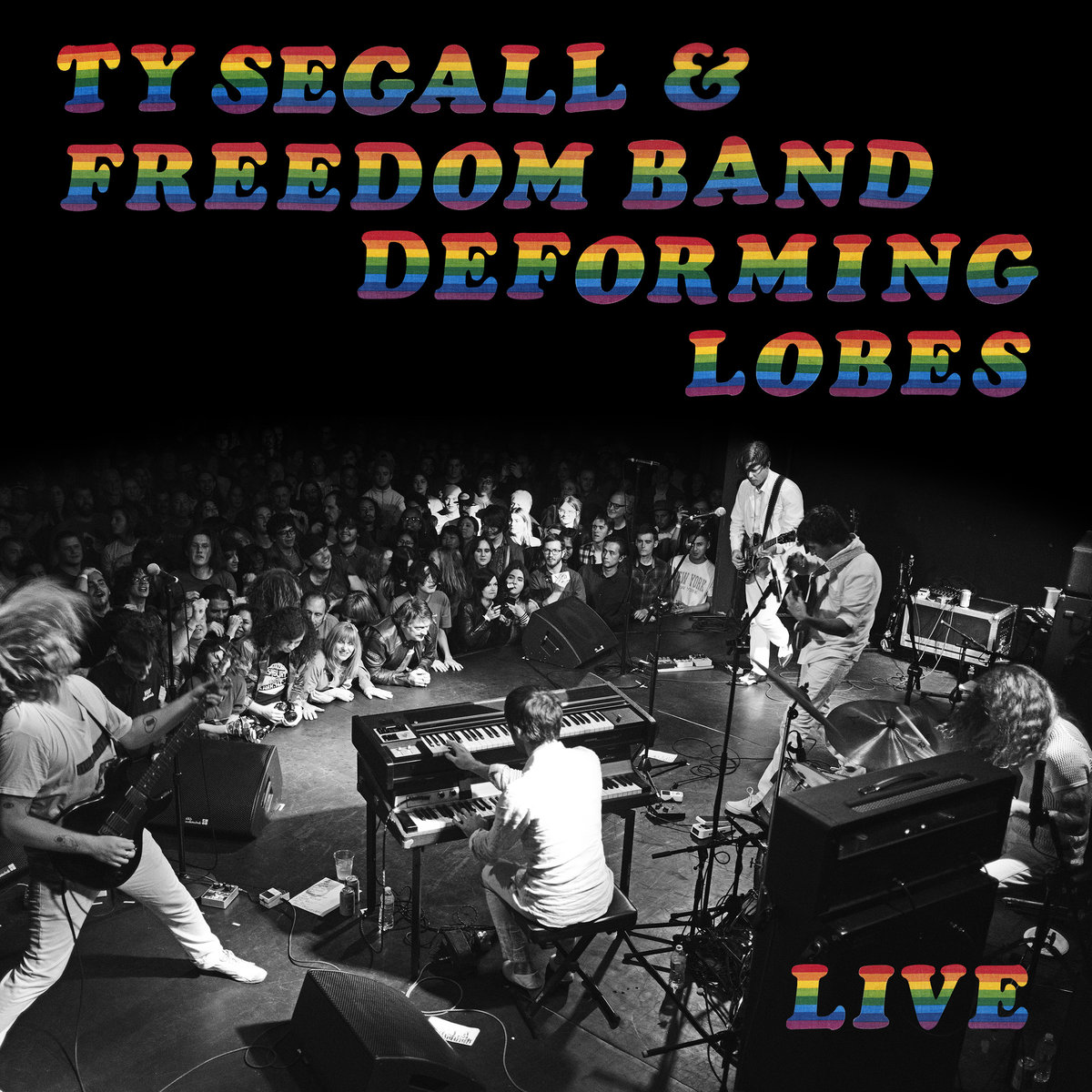 Ty Segall